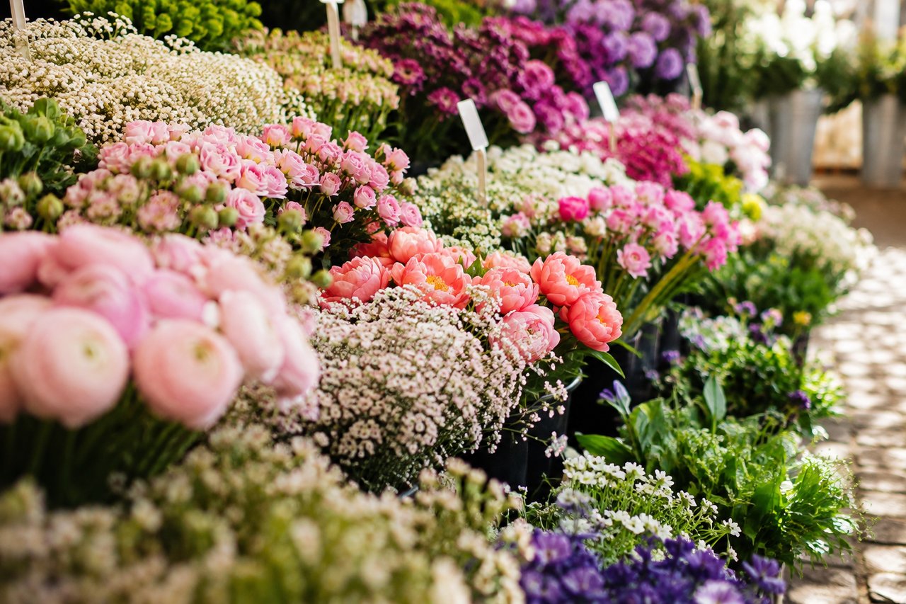 Stalls full of fresh flowers at the Amstelveld flower market